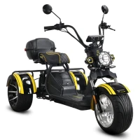 Электротрицикл Siberton PRO Trike Max 3950W